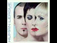 pochette album The snake