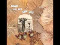 pochette album Skin & bones