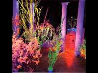 pochette album Up in the air