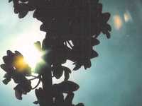 pochette album Hurricane