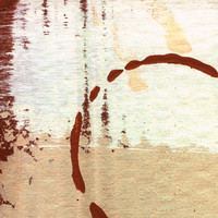 pochette album Darren's roof