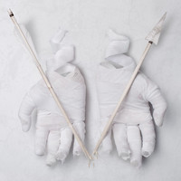 pochette album Melior