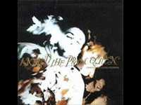 pochette album The paint brush killer