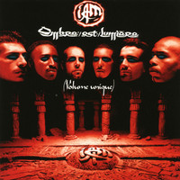 pochette album Le dragon sommeille