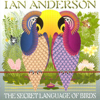 pochette album The secret language of birds