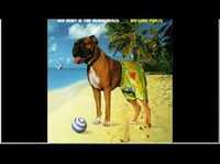 pochette album Cacka boom