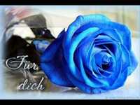 pochette album An deiner stelle nähm' ich mich