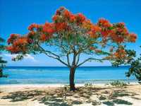 pochette album De camino a la vereda