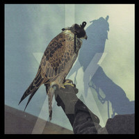 pochette album Morals