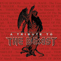 pochette album Transylvania