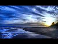 pochette album Sea of love