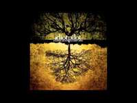 pochette album Moerae