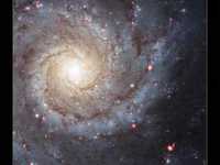 pochette album Runaway