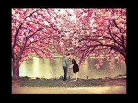 pochette album Constantemente mia