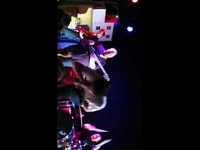 pochette album Never say die