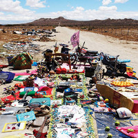 pochette album Greenback boogie