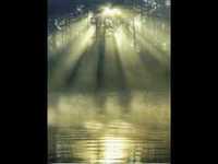 pochette album Morning mist