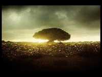 pochette album Not you again