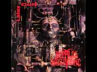 pochette album The burning of provinciestraat