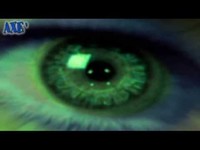 pochette album Shed your blood