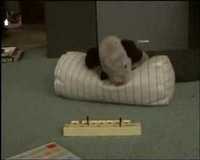 pochette album Back for the attack!