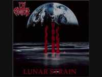 pochette album Everlost (part 2)