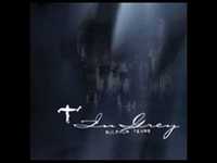 pochette album I amaze