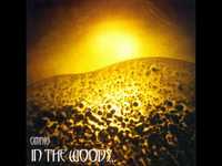 pochette album 299 796 km/s