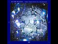 pochette album If it's in you