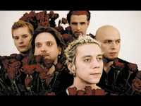 pochette album Die taube