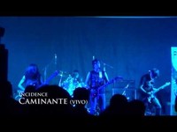 pochette album Caminante