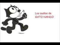 pochette album Adam and eve