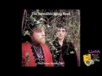 pochette album Frutch