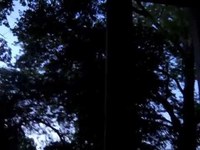 pochette album Rainbow