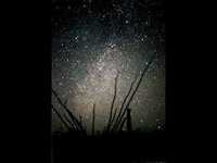 pochette album The circle is unbroken