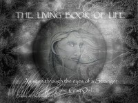 pochette album Destiny