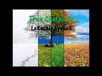 pochette album Growth