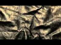 pochette album You've got to show