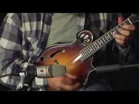 pochette album You can't stop the changes