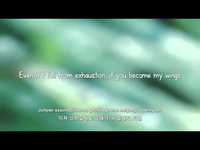 pochette album Wings