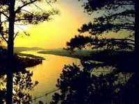 pochette album Feel me