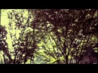 pochette album North american field song