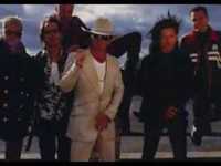 pochette album Shake the tree