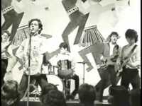 pochette album We are the vegetables