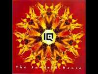 pochette album The wrong side of weird