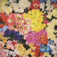 pochette album Dancing anymore