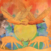 pochette album Woman at the well