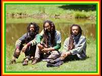 pochette album Livity in the hood