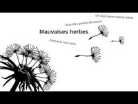 pochette album Mauvaises herbes