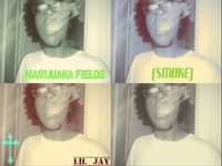 pochette album Marijuana fields (smoke)